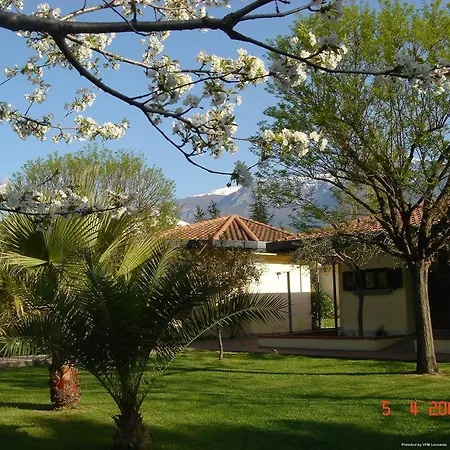 Hotel Aliajazz Green B&B
